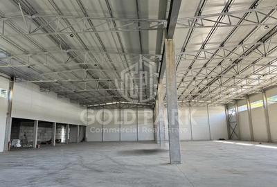 Spatiu Industrial - Baciu - 1300 mp - Plaftorma Betonata - Acces TIR - 4