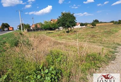 Teren intravilan de vanzare in Galda de Jos- Oiejdea - 2