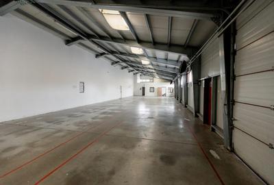 Pitesti, hala industriala/productie,depozitare/logistica de inchiriat, 800 mp - 4