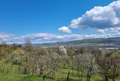 Pamant vanzare | Lac Zigoneni | Valea Lui Enache | Priveliște superba - 8