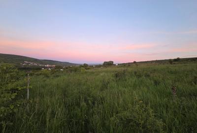 Teren de vanzare, ideal pentru investitie - 2
