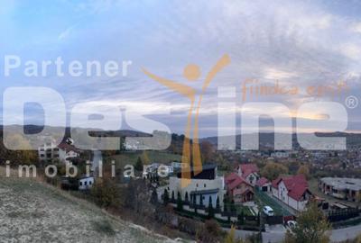 Teren de Vânzare – 34.485 mp | Câmpulung Muscel | Zonă Panoramică & Dezvoltare - 3