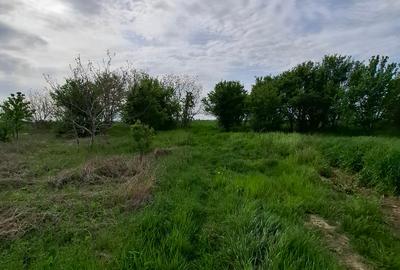 Teren construibil - 2