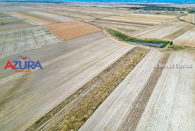 Teren agricol, 5HA, comasat, drum acces, Cateasca - 6