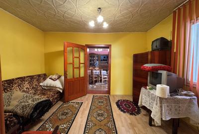 Casa in Lugoj pe Str. Fagetului - 5
