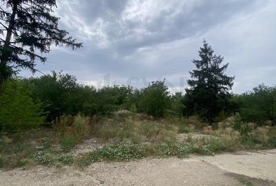 REL4001019 Teren 10 ha langa Kaufland si Crevedia Retail Park - 4