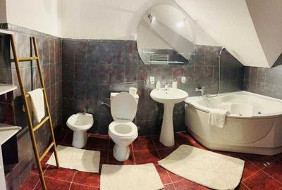 VILA/Casă ULTRACENTRAL IASI - 1500 EURO - 6
