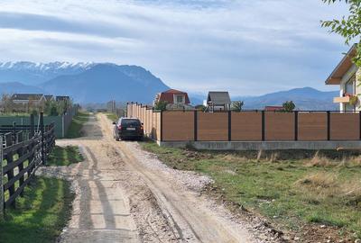 Teren 1000mp cu PUZ in Rasnov, Glajerie - 3