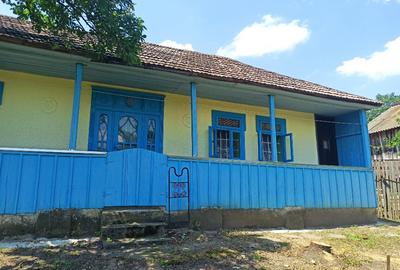 Vând casă parinteasca localitatea Vlădeni, com. Corlăteni, jud. Botoșani - 1