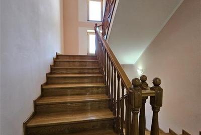 TEREN INTRAVILAN DEVANZARE 33161 MP DE VANZARE TARGU OCNA - 18