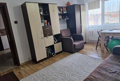 Șagului-Rebreanu arteră principală - 5