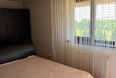 Vila Smeura -  Pitesti - 5