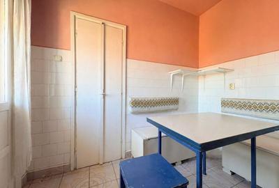 4 camere, suprafata generoasa, vedere panoramica spre raul Timis - 14