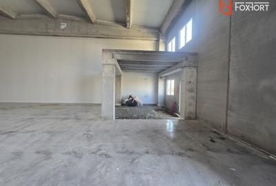 COMISION 0% Spatiu de depozitare 524 mp - Sanandrei - 2