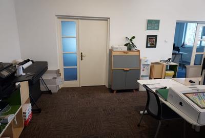 UNIRII,MANTULEASA,SECTOR 2,  VILA   SUPERBA  ,IDEAL FIRMA/CLINICA,1100000EURO - 20