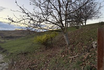 Teren Intravilan cu panorama în Borhanci Str Colonia Sopor 1000mp+85mp cota drum - 4