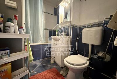 Apartament cu 3 camere de vanzare, centrala, zona Soarelui, Timisoara - 6