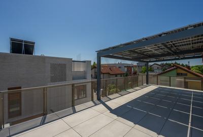 REV2004731 Vila 6 camere cu terasa rooftop 58 mp I Iancu Nicolae - 4