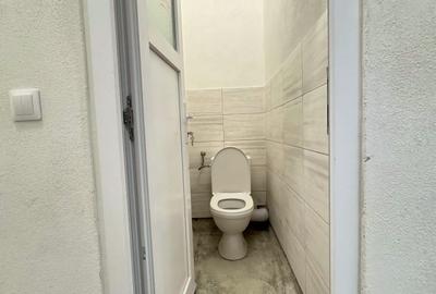 Spațiu comercial de inchiriat – 380 mp, Terezian, Sibiu - 12