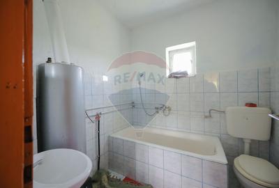 De vânzare casă cu teren și pădure 55706 mp - Șinteu, Valea Târnei - 5