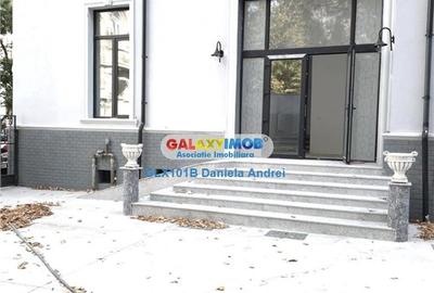 De inchiriat VILA  D+P+1E+M, TEREN 900 mp, parcare, ULTRACENTRAL - 9