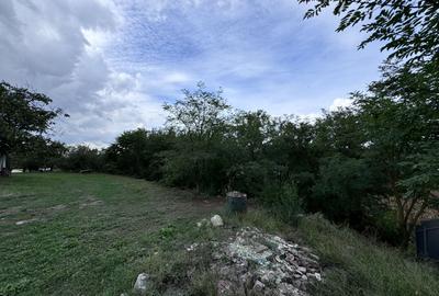 Hotel 25 camere 100 m deschidere DELTA DUNARII teren 12000 mp acces auto - 16