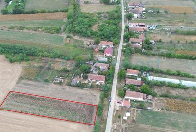 Teren intravilan de vanzare, Bihor - 2