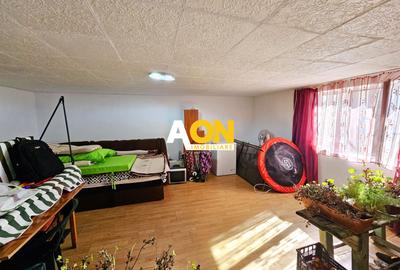 Casa 4 camere + anexe, 2084 mp teren, Totoi, la 10 km de Alba Iulia - 18