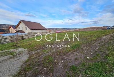 Teren intravilan 625 mp, Sura Mare, Comision 0% - 8