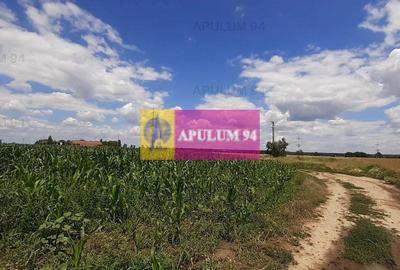 Teren 715mp în Snagov lângă Equestria - 52