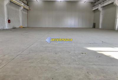 Hale Productie Depozitare Alba Su. de la 1725 mp. - 4000 mp. finisata complet - 5