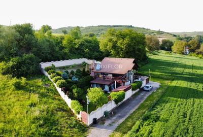 Casă pe două nivele | Sânișor | 235.000 € - 29