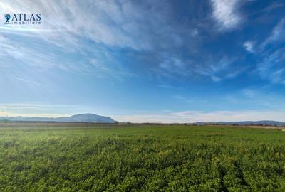 Teren ideal dezvoltare rezidențială, 8.121 mp, PUZ aprobat, utilități, Stupini - 1