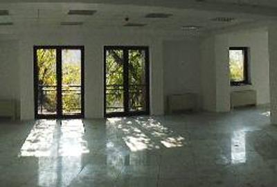 0% comision! Inchiriere birouri Dacia, 438 - 2472 mp - 10