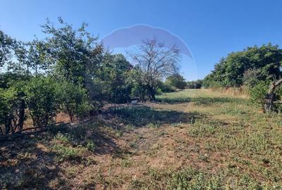 Teren intravilan de inchiriat  - 3.600mp Șoseaua Unirii – Balotești - 10