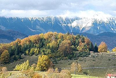 TEREN INTRAVILAN-EXTRAVILAN SPECTACULOS LANGA RESORTUL CHEILE GRADISTEI -FUNDATA - 1