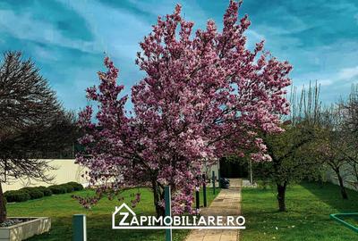 Unirii - Casa Zona Romcab -  400mp - 1259 mp teren - Garaj dublu - piscina - 5