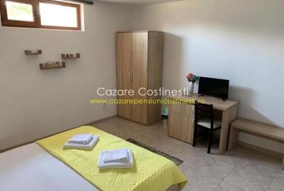 PENSIUNE 8 UNITATI DE CAZARE - COSTINESTI - 17