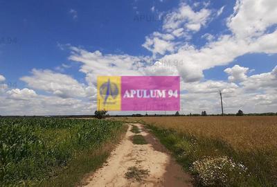 Teren 715mp în Snagov lângă Equestria - 33