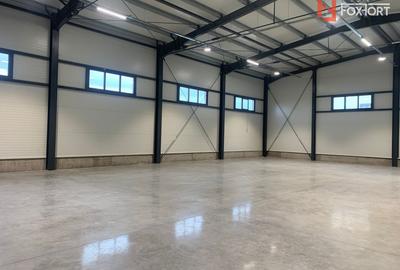 Hala industriala 500 mp + birouri, 1398 mp teren, acces TIR - Giarmata Vii - 28
