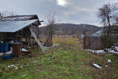 VÂNZARE MOȘIE – Sat Mitrofani, Comuna Mitrofani, jud. Vâlcea - 16