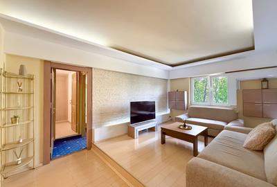 Apartament mare si spatios - Unirii - Anastasie Panu - Centrala proprie! - 14
