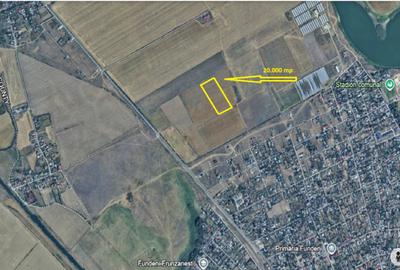 Teren intravilan 20.000 mp – Comuna Fundeni - 1