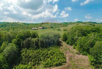 De vânzare casă cu teren și pădure 55706 mp - Șinteu, Valea Târnei - 16
