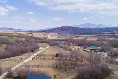 Teren intravilan 850mp Zarnești-Bran, natura-relaxare - 9