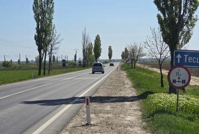Teren extravilan de 20000 mp, în Tișița