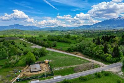 Teren intravilan 1273 mp in Zarnesti-Tohanita la 50 m de drumul asfaltat - 8