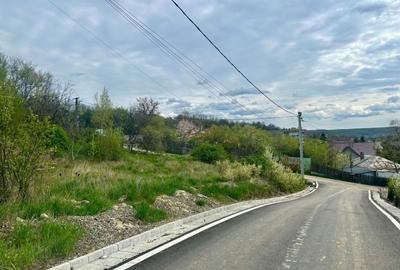 Teren intravilan 1000mp Valea Lupului la 1,2km de E85 apa canalizare PE TEREN! - 1