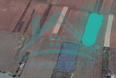 Teren extravilan de vanzare, zona Martinesti/Tureni! - 1