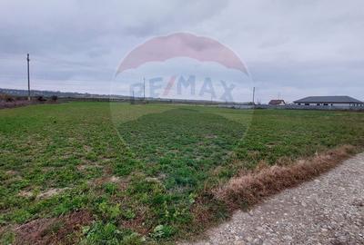 Teren pentru investitii in Lilieci de vanzare - 3